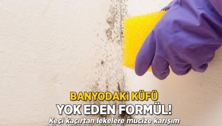 Banyodaki Küfü Anında Yok Eden Formül! Keçi Kaçırtan Lekelere Mucize Karışım