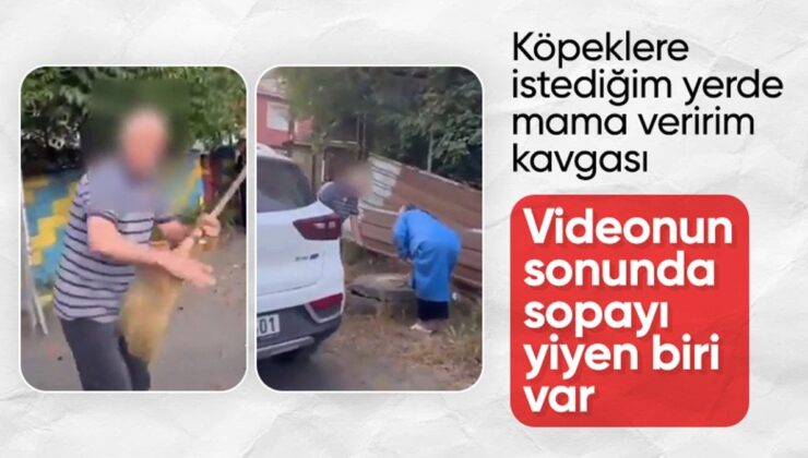 Başıboş Köpekleri İzinsiz Besleyen Bayanla Mahalle Sakinleri Arasında Kavga Çıktı