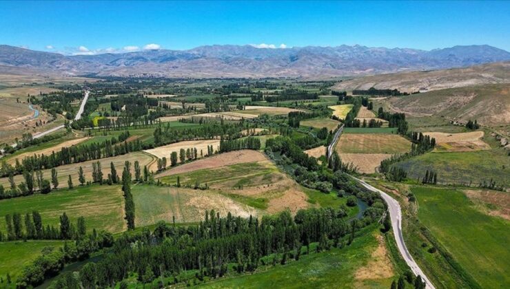 Bayburt’ta 40 Bin Hektar Alanda Yem Bitkisi Hasadı Sürüyor