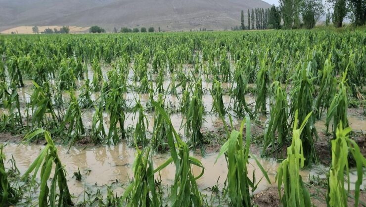 Bayburt’ta Dolu ve Sağanak: Tarım Toprakları Zarar Gördü