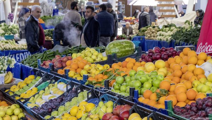 Beş Soruda Türkiye’de Tarım: Besinde Yeni Artırımlar Kapıda