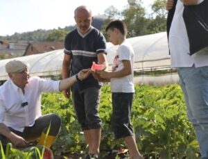 Beykoz’da Alım Garantili Hasat Vakti