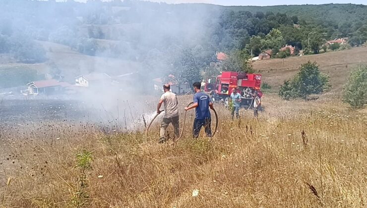 Bilecik’te Çıkan Ot Yangını: Bir Kişi Hastanelik Oldu