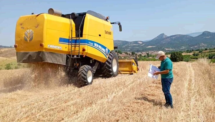 Bilecik’te Hububat Hasadı Başladı, Biçerdöver Denetimleri Devam Ediyor