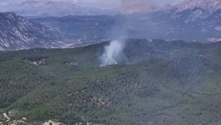 Bir Ayda 3 Orman Yangını Çıkardı: “Görevlilere Kızdım Yaktım”