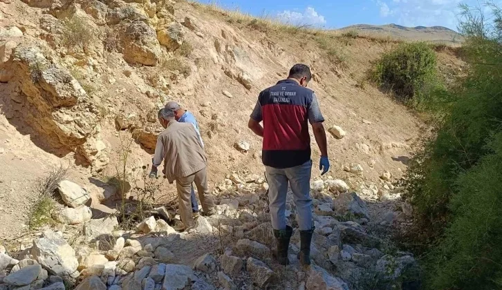 Biri Uçurumdan Atlayınca Başkaları Peşinden Koştu: 43 Koyun Telef Oldu