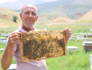 Bodrumlu Arıcı Yüksekova’da Bal Hasadına Hazırlanıyor