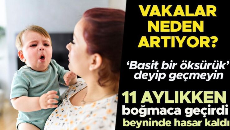 Boğmaca Olaylarında Artış Yaşanıyor | Sadece Bir Öksürük Deyip Geçmeyin! 11 Aylıkken Boğmaca Geçirdi, Beyninde Hasar Kaldı