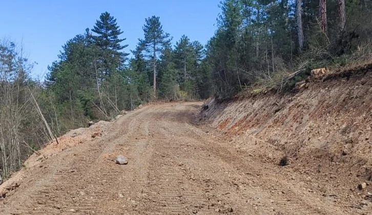 Bolu’da 12 Kilometrelik Orman Yolu Açıldı: Yangınlara Daha Hızlı Müdahale Edilecek