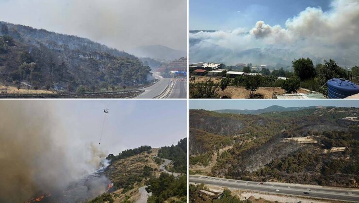 Bornova’daki Orman Yangını 2.Gününde: 7 Ev Zarar Gördü, 2 Mahalle Boşaltıldı, Öğrenciler Yurtlara Yerleştirildi