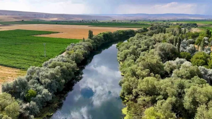 Bozkırın Kalbinde Kızılırmak ile Bütünleşen Yeşil Tabiat