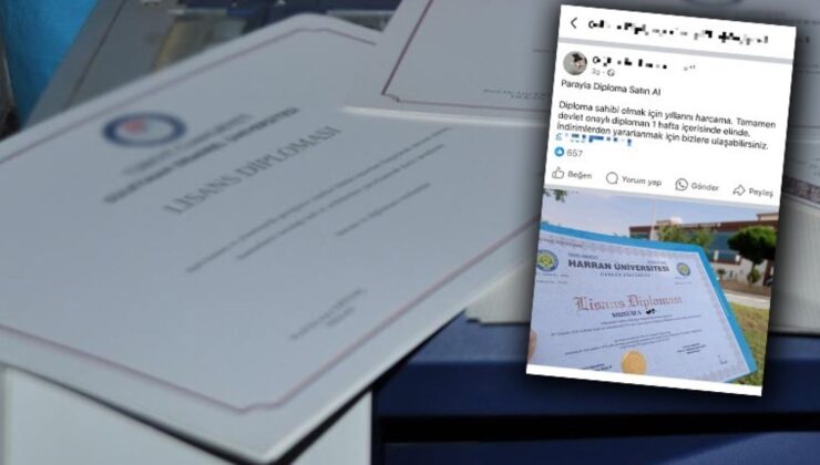 Bu da Oldu: Sosyal Medyada Sahte Lisans Diploması!