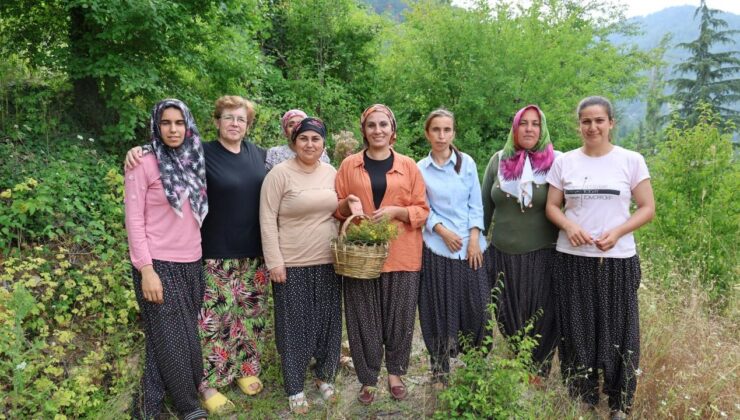 Bu ‘Doktor’ Bambaşka! Köylüler Şifalı Olarak Anıyor