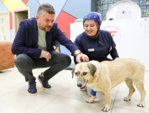 Buca Belediye Başkanı Duman’dan Saldırıya Uğrayan Can Dostuna Ziyaret: Sağlığına Kavuşması İçin Her Şeyi Yapmaya Hazırız