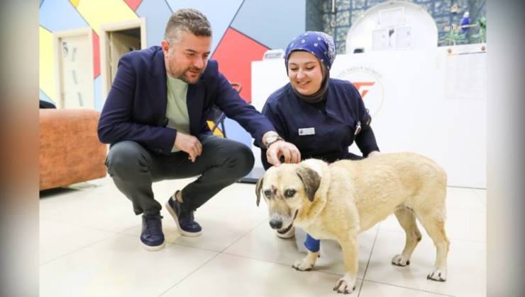 Buca Belediye Başkanı Duman’dan Saldırıya Uğrayan Can Dostuna Ziyaret: Sağlığına Kavuşması İçin Her Şeyi Yapmaya Hazırız