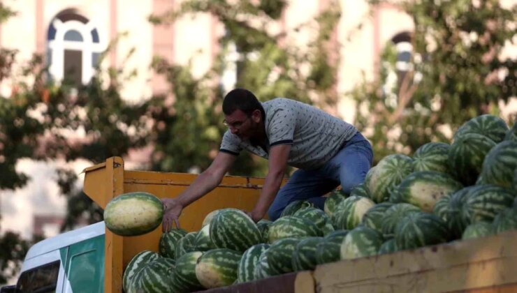 Bursa Büyükşehir Belediyesi Tarladaki Ürünleri İhtiyaç Sahiplerine Dağıtıyor