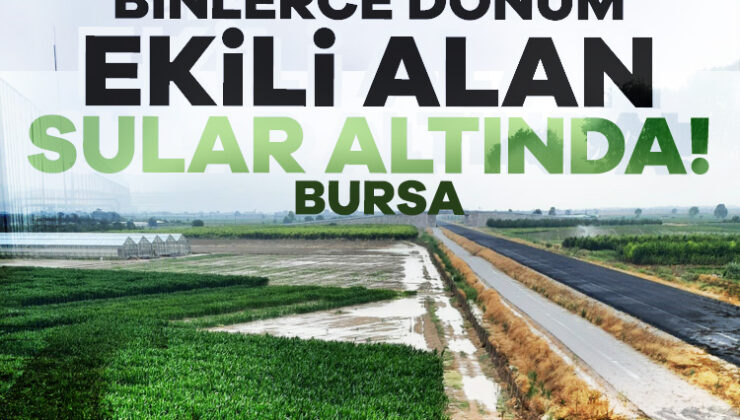 Bursa Ovası’nda Binlerce Dönüm Ekili Alan Sular Altında