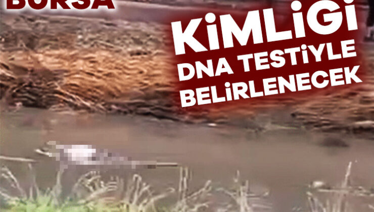 Bursa’da Nilüfer Çayı’nda Bulunan Cesedin Kimliği Dna Testiyle Belirlenecek