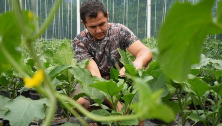 Bursa’da Ziraat Mühendisi Topraksız Serada Üretim Yapıyor