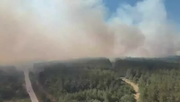 Bursa’daki Orman Yangınına Soruşturma Başlatıldı