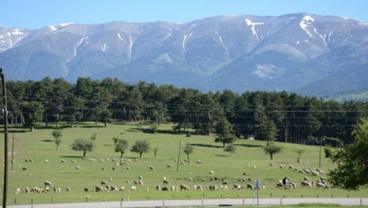 “Büyük Erzurum Yayla Şenliği”Ne Bursalı Vatandaşlar Yoğun İlgi Gösterdi