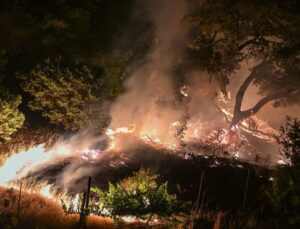 California’da Orman Yangını: 26 Binden Fazla Kişi Tahliye Edildi