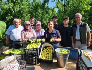 Çanakkale’nin Bayramiç İlçesinde AB Coğrafik İşaret Tescilli Nektarin Üretimi Bekleniyor