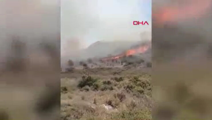 Çeşme Yangını: Ölmeden Önce Çektiği İmajda Alevlerden Kaçmaya Çalıştıklarını Anlatmış