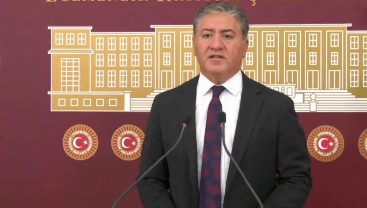 CHP Grup Başkanvekili Murat Emir, Sokak Hayvanlarına Yönelik Yasal Düzenlemeyle İlgili Ak Parti ile Görüşeceklerini Belirtti