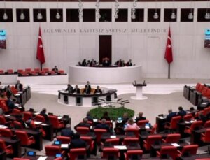 CHP Milletvekili, Çıldır Gölü’ndeki Uygulamaları Eleştirdi