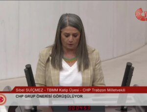 CHP’nin ‘Hayvan Haklarının Korunmasında Ortaya Çıkan Sorunların Tüm Taraflarıyla Araştırılması’ Önerisi Reddedildi