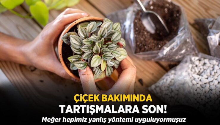 Çiçek Bakımında Tartışmalara Son! Meğerse Hepimiz Yanlış Yöntemi Uyguluyormuşuz