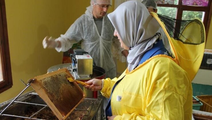 Coğrafik Tescil Almıştı! Sağım Başladı, 1 Kaşığı Her Kedere Deva