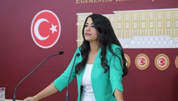 Dem Parti’den, TBMM Göç ve Uyum Alt Komitesi’ne “Acil Toplanma” Çağrısı