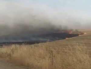 Diyarbakır’da İlk Fırtına Sonra Anız Yangını: Çatılar Uçtu, Elektrik Telleri Koptu