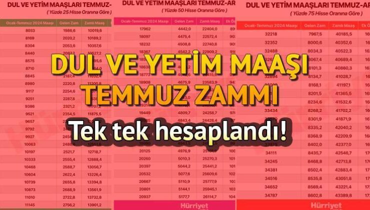 Dul ve Yetim Aylığı Temmuz 2024 || Dul ve Yetim Maaşı Ne Kadar Oldu, Yüzde Kaç Arttı? İşte 2024 Temmuz Yeni Dul ve Yetim Aylığı!