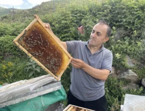 Dünyaca Ünlü Anzer Balı’nın Bu Yıl Kilogram Satış Fiyatı 4 Bin TL Oldu