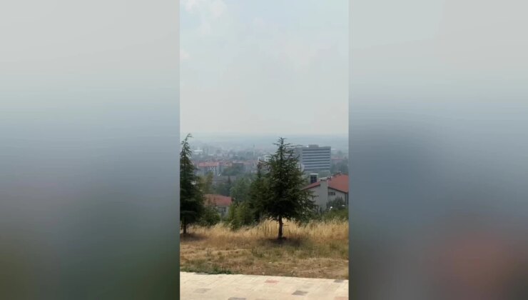 Edirne’de Bulgaristan Yangınının Dumanı Hissediliyor