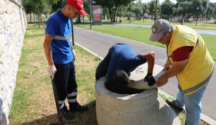 Efeler Belediyesi Sağlık İşleri Müdürlüğü Ekipleri Çalışmalarını Sürdürüyor