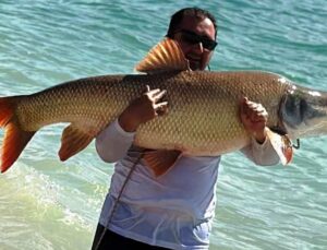 Elazığ’da Amatör Balıkçılar Yakaladı! Tam 39 Kilo, 1,5 Metre Uzunluğunda