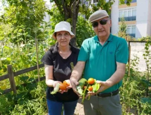 Emekli Çifti İstekli Bahçesinde 26 Çeşit Ürün Elde Etti