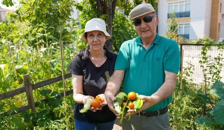 Emekli Çifti İstekli Bahçesinde 26 Çeşit Ürün Elde Etti