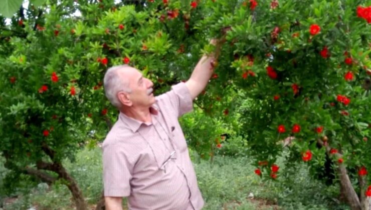 Emekli Polis Memuru Antalya’da Boğularak Hayatını Kaybetti