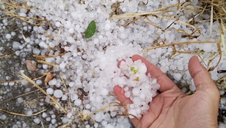 Erzincan’da Dolu Etkili Oldu