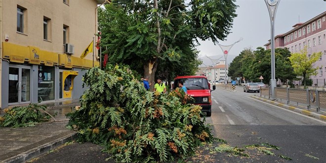 Erzincan’da Fırtına Etkili Oldu: Çatılar Uçtu, Ağaçların Dalları Kırıldı