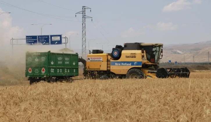 Erzincan’da Hububat Tarlalarında Hasat Başladı