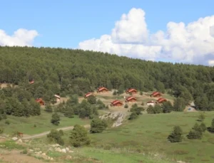 Erzincan’ın Yeşil Cenneti: Dumanlı Tabiat Parkı