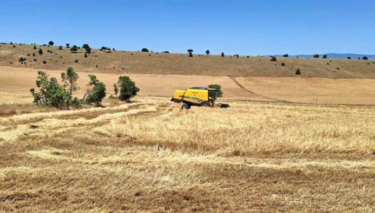 Eskişehir Yayla Mahallesi’nde Hububat Hasadı Başladı