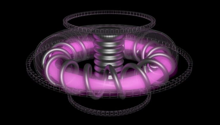 “Esnek” Stellarator Füzyon Tesisinin Kurulması Planlanıyor