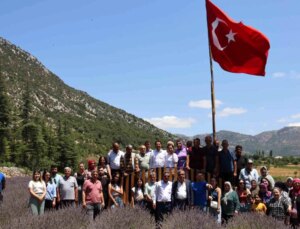 Feke Tapan Lavanta Şenliği Bu Yıl Düzenlenmeyecek